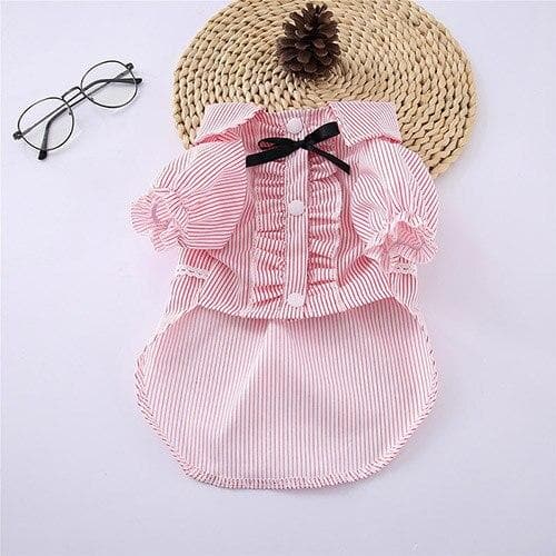 Chihuahua Summer Dress - Chihuahua We Love