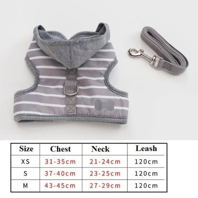 Cutest Chihuahua Harness and Leash - Chihuahua We Love