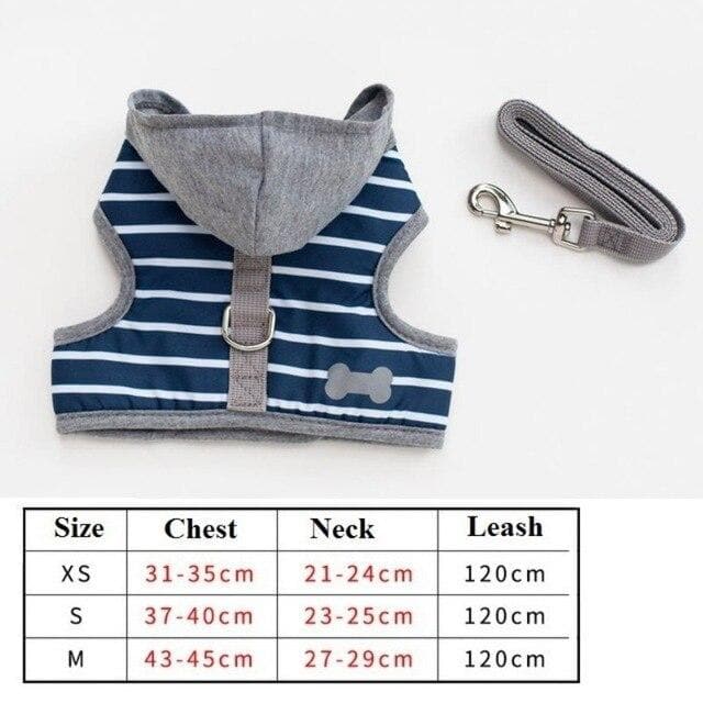 Cutest Chihuahua Harness and Leash - Chihuahua We Love