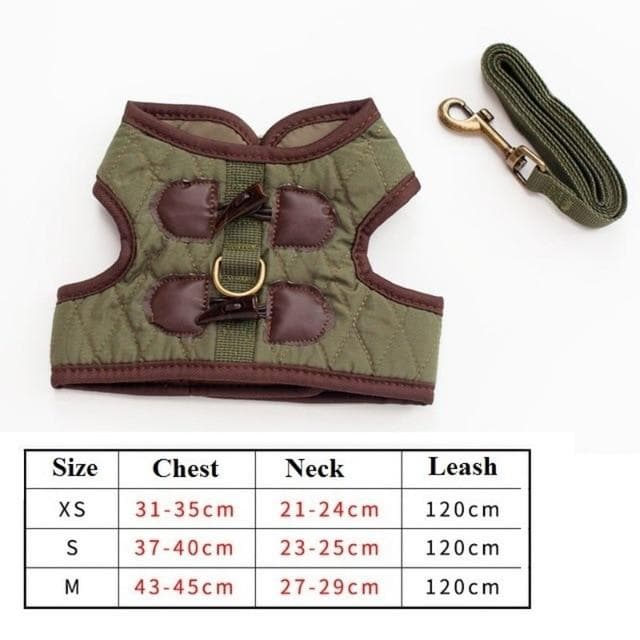 Cutest Chihuahua Harness and Leash - Chihuahua We Love