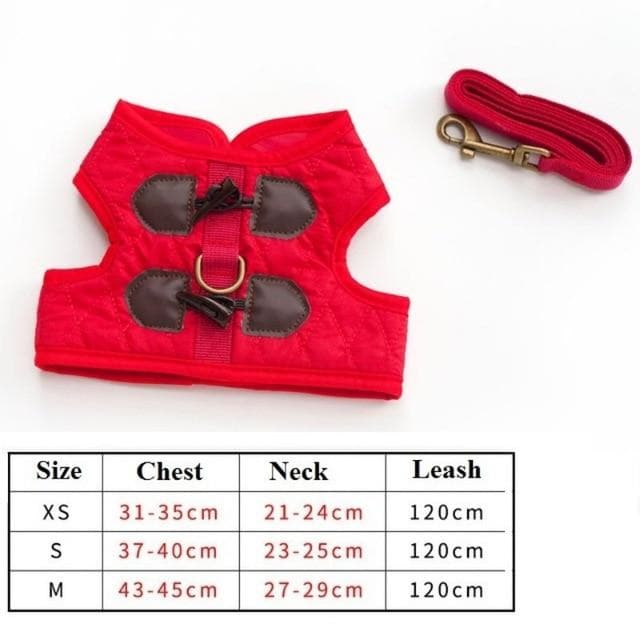 Cutest Chihuahua Harness and Leash - Chihuahua We Love