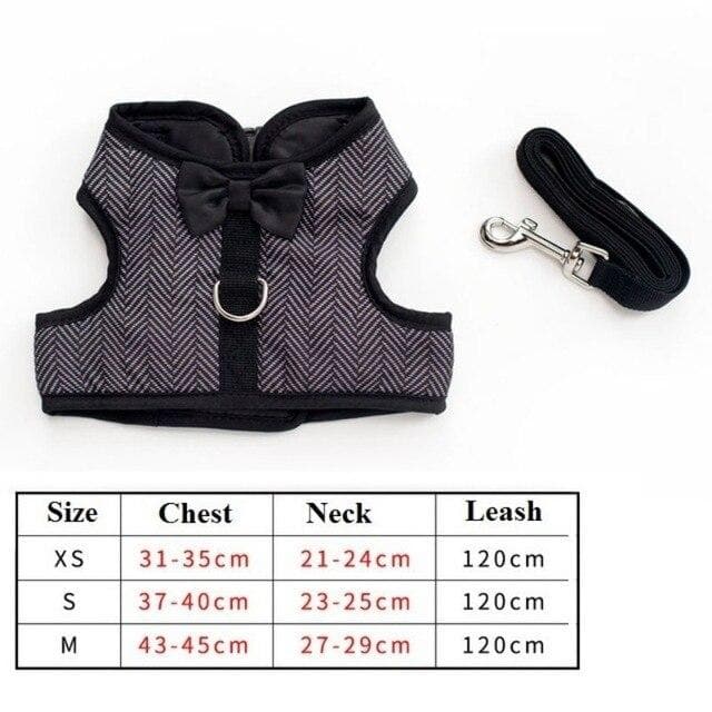Cutest Chihuahua Harness and Leash - Chihuahua We Love