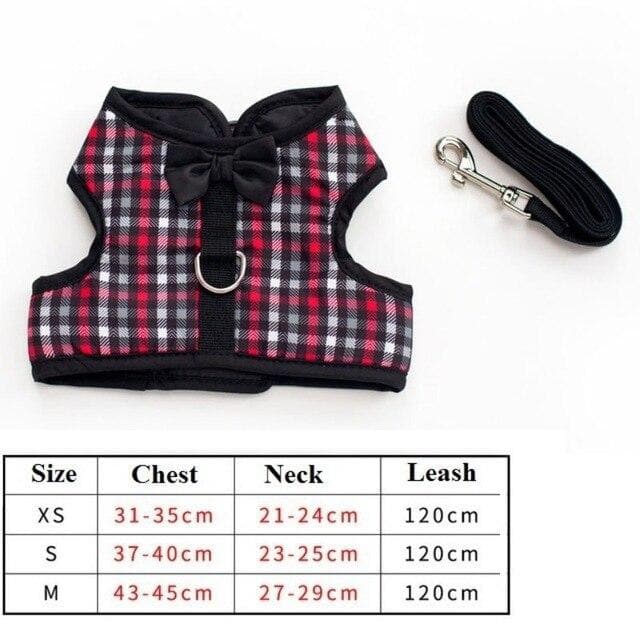 Cutest Chihuahua Harness and Leash - Chihuahua We Love