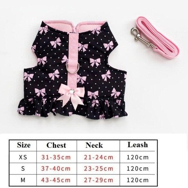 Cutest Chihuahua Harness and Leash - Chihuahua We Love
