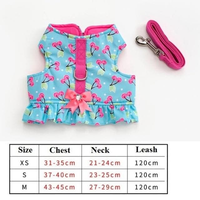 Cutest Chihuahua Harness and Leash - Chihuahua We Love