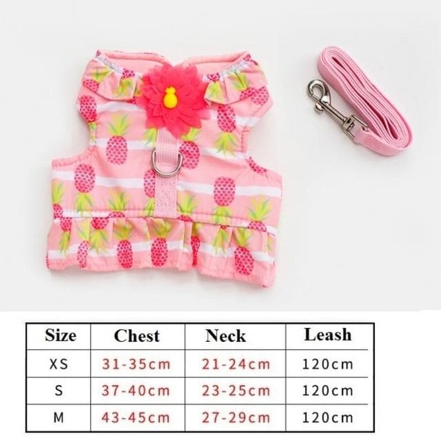 Cutest Chihuahua Harness and Leash - Chihuahua We Love