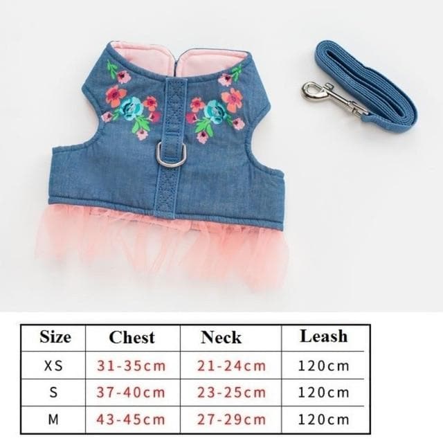 Cutest Chihuahua Harness and Leash - Chihuahua We Love