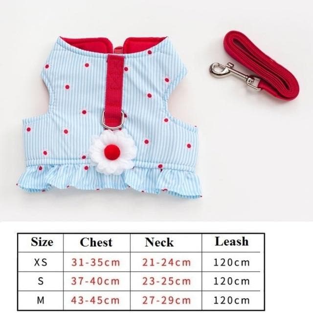 Cutest Chihuahua Harness and Leash - Chihuahua We Love