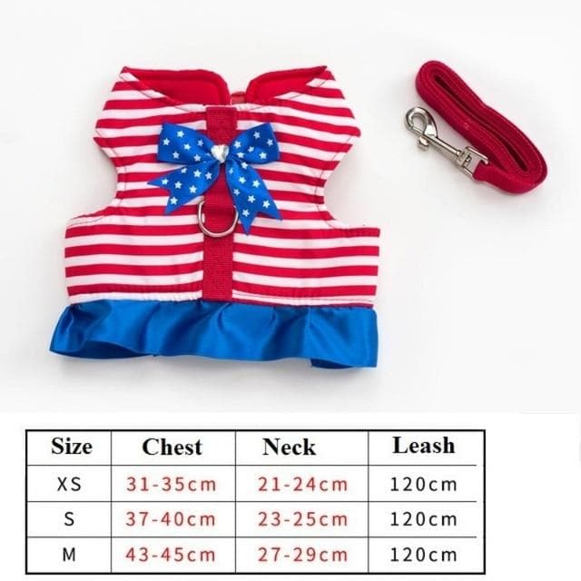 Cutest Chihuahua Harness and Leash - Chihuahua We Love