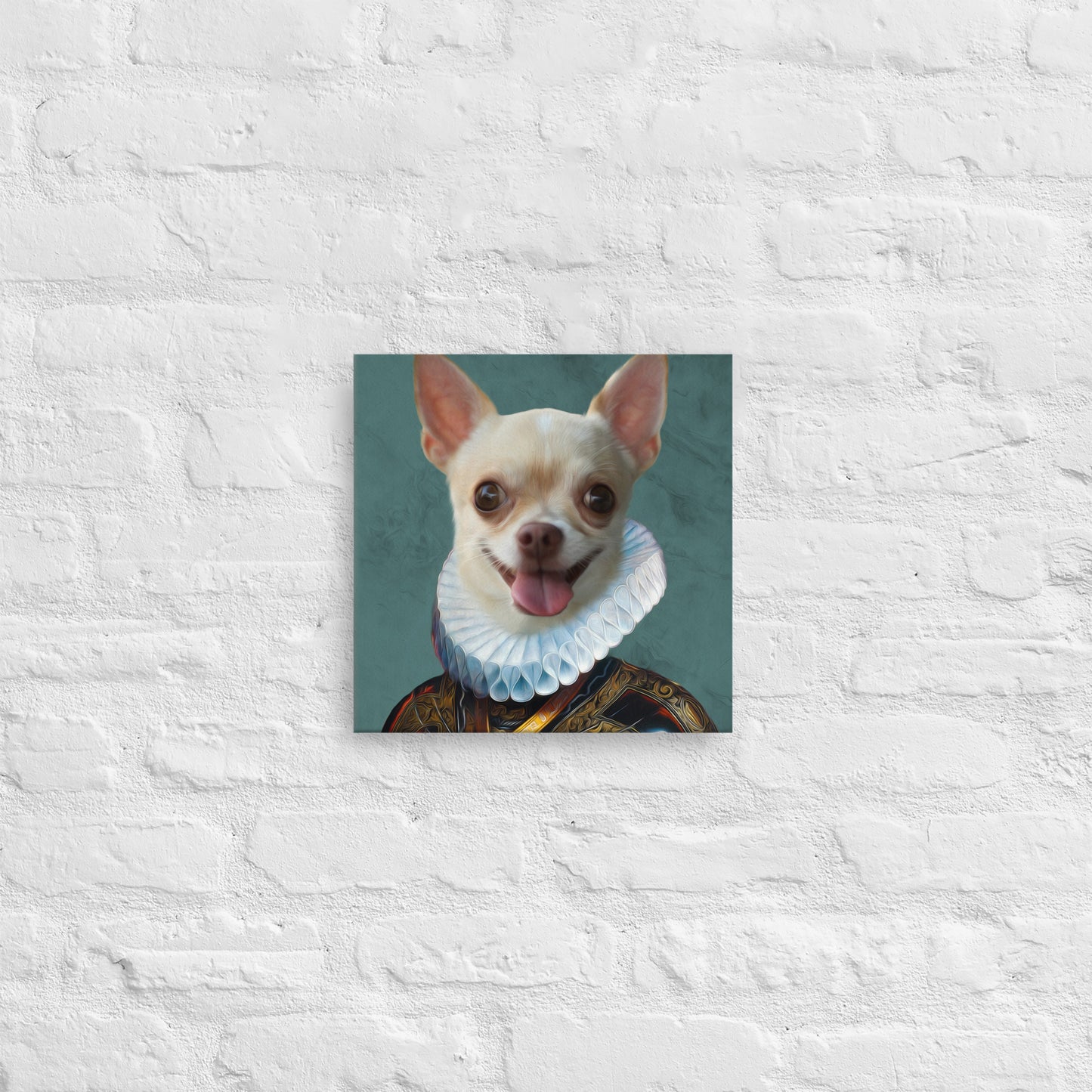 Bella Chihuahua