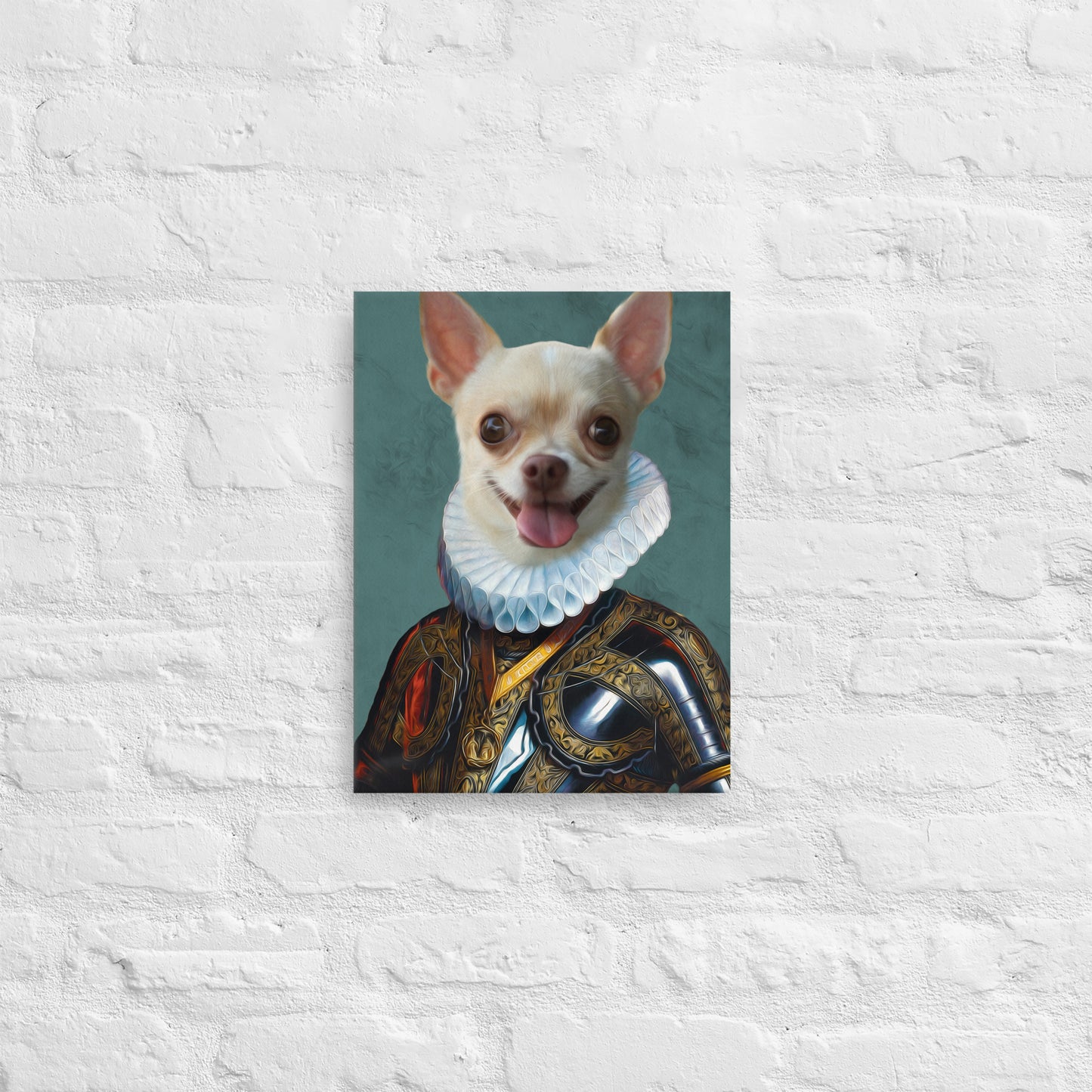 Bella Chihuahua