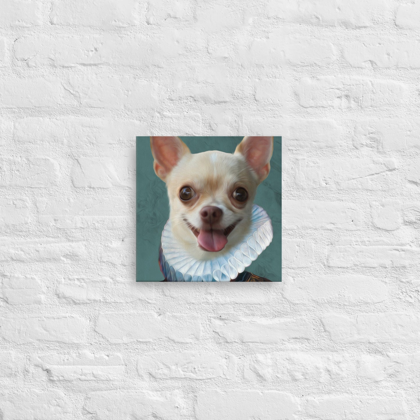Bella Chihuahua
