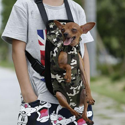 The 5 Best Chihuahua Carriers that will make your life easier!