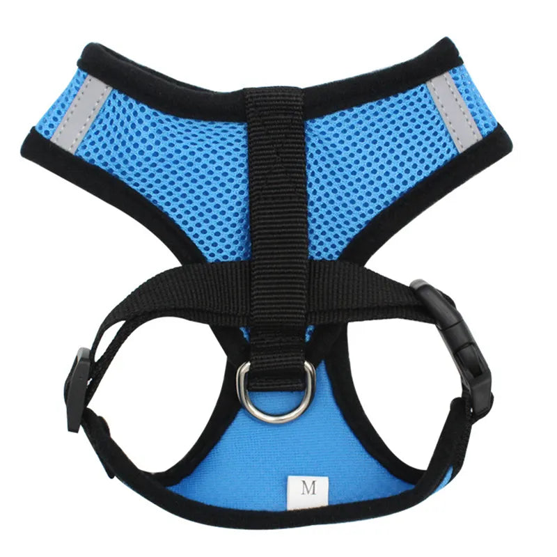 Breathable Mesh Harness and Leash Set