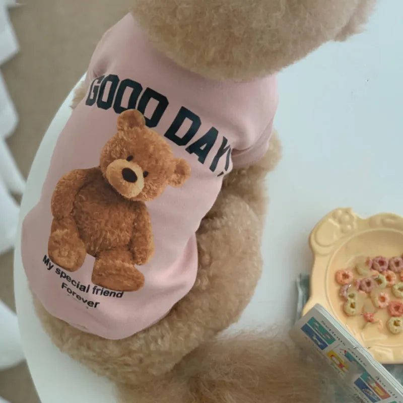 Cartoon best sale bear hoodie