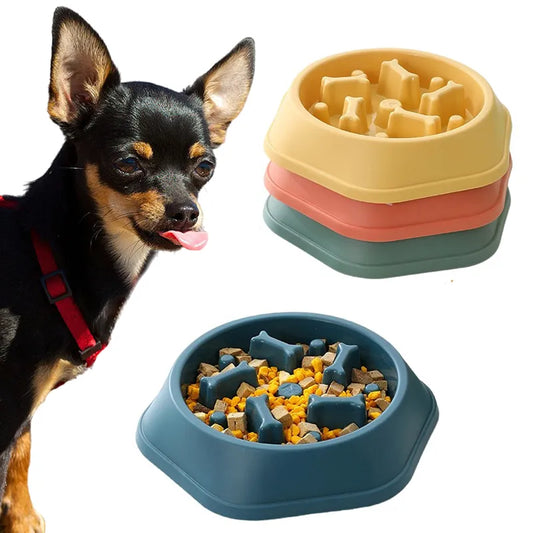 Slow Feeder Bowl for Chihuahuas