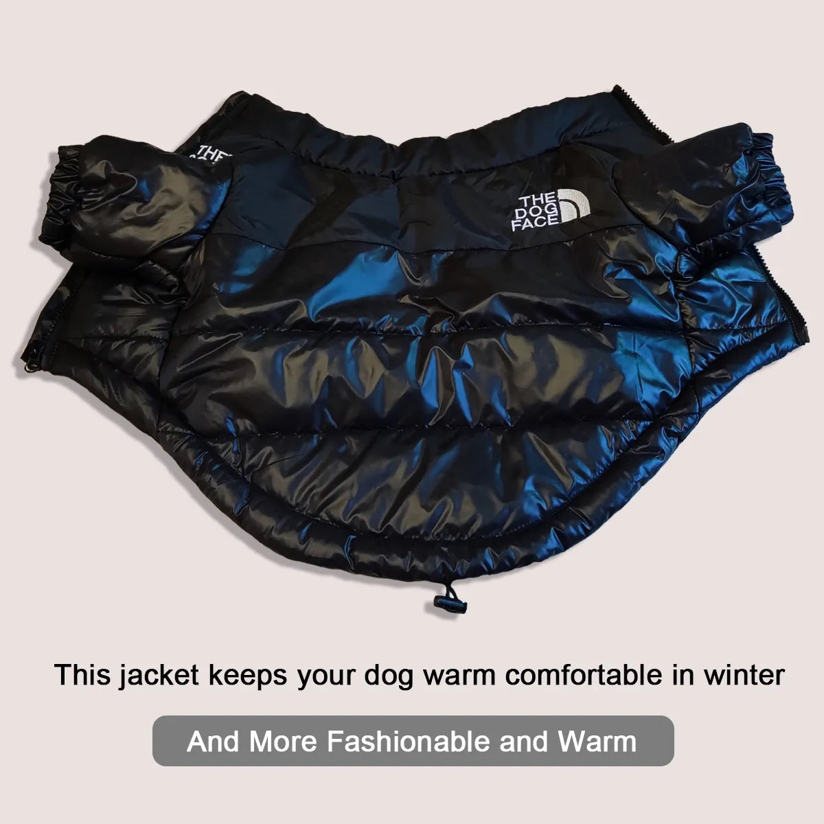 "The Dog Face" Windproof Reflective Jacket