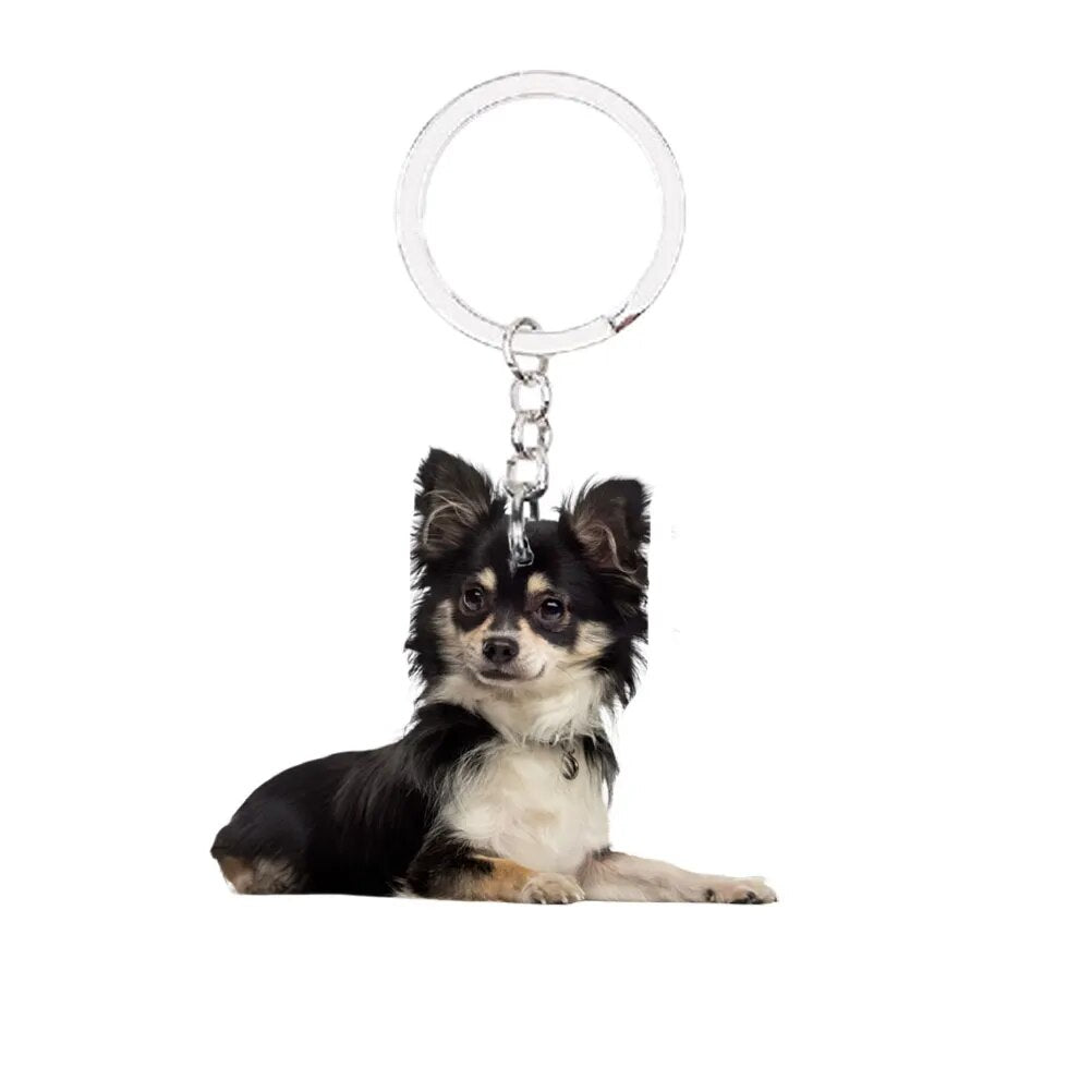 NEW, Chihuahua Smoothhaired, dog keyring, necklace and clipring in casket, DELUXE set, limited edition, ArtDog . on sale Dog keyring for dog lovers