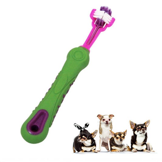 3 Sided Chihuahua Toothbrush