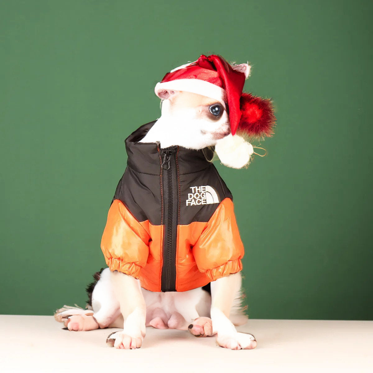 "The Dog Face" Windproof Reflective Jacket
