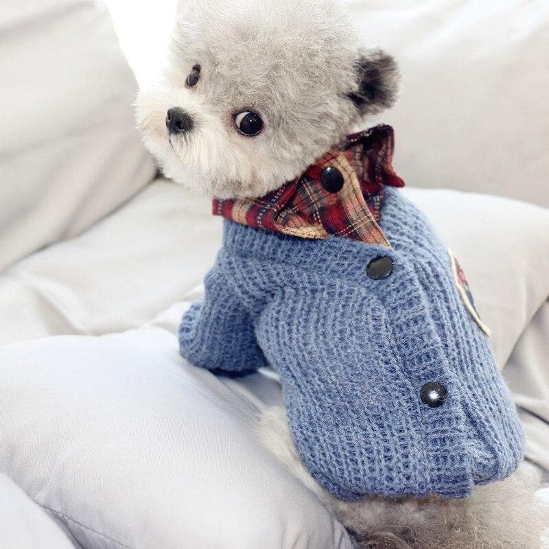 Knitted Warm Puppy Sweater - Chihuahua We Love