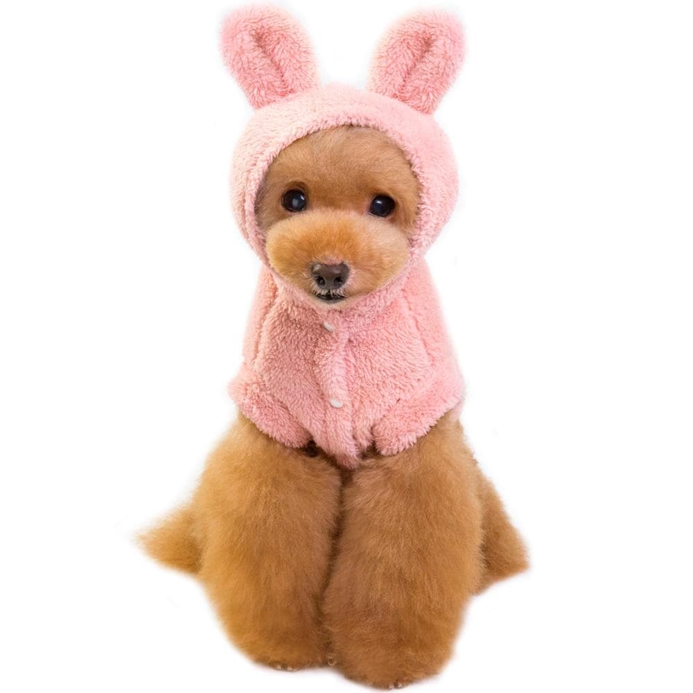 Chihuahua Rabbit Costume - Chihuahua We Love