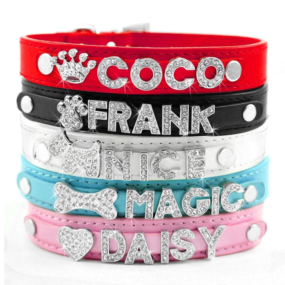 Bling Chihuahua Personalized Collar - Chihuahua We Love