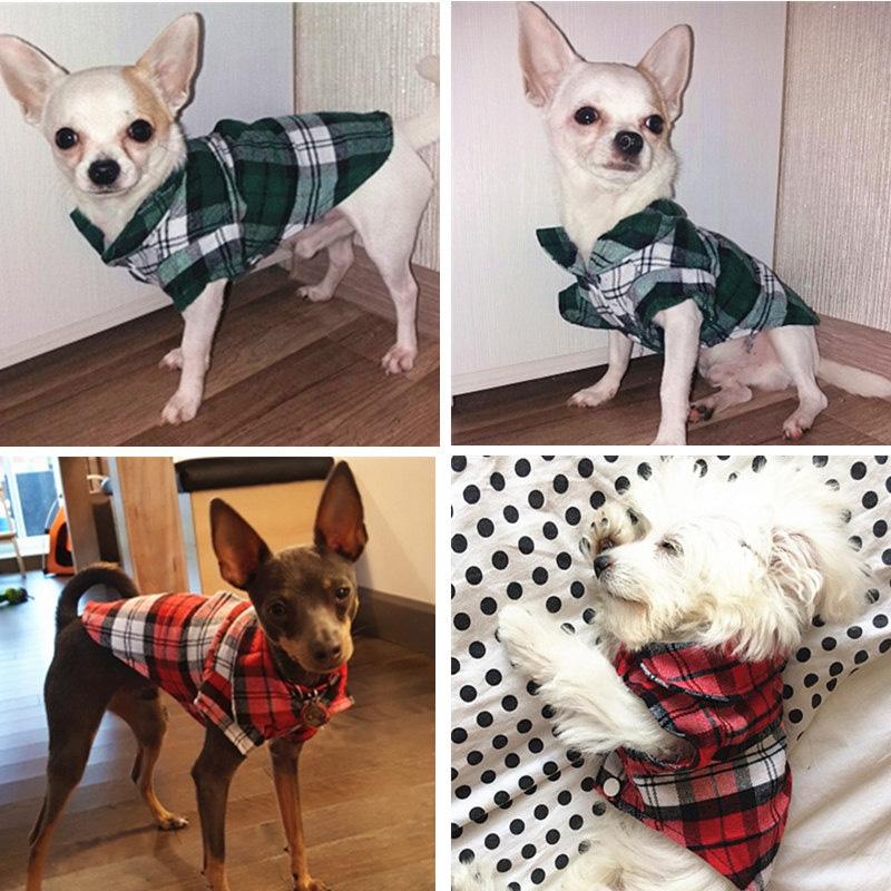 Plaid Flannel Shirt - Chihuahua We Love