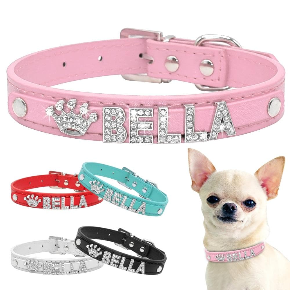 Bling Chihuahua Personalized Collar - Chihuahua We Love