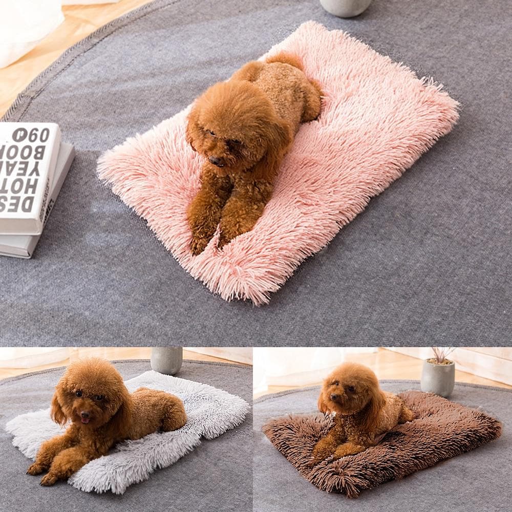 Chihuahua Sleeping Pad Blanket - Chihuahua We Love
