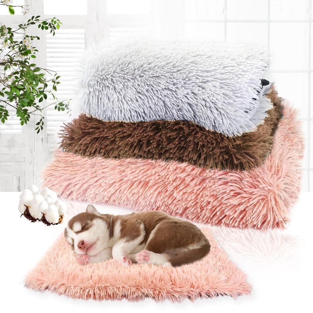 Chihuahua Sleeping Pad Blanket - Chihuahua We Love