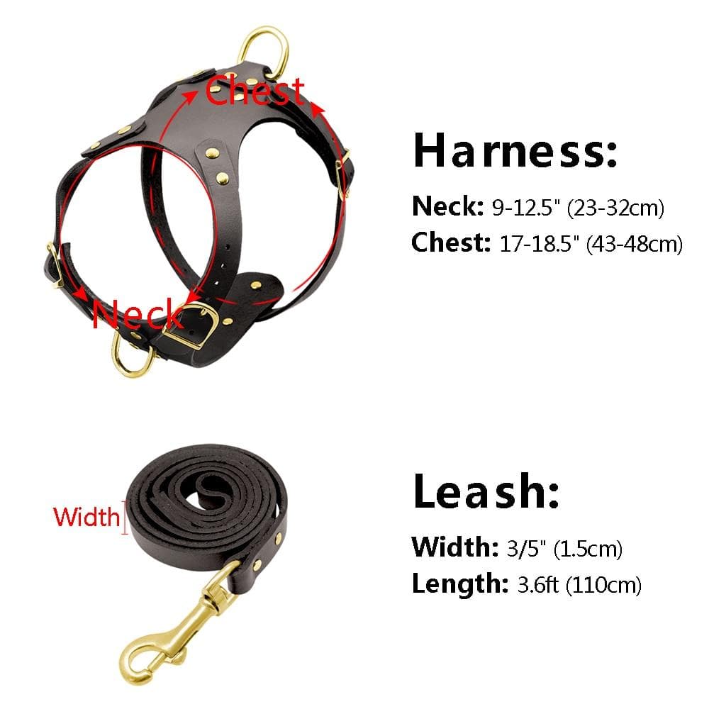 Fancy Leather Harness and Leash Set - Chihuahua We Love