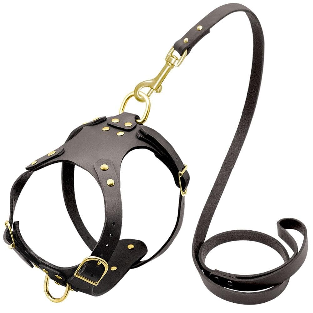 Fancy Leather Harness and Leash Set - Chihuahua We Love