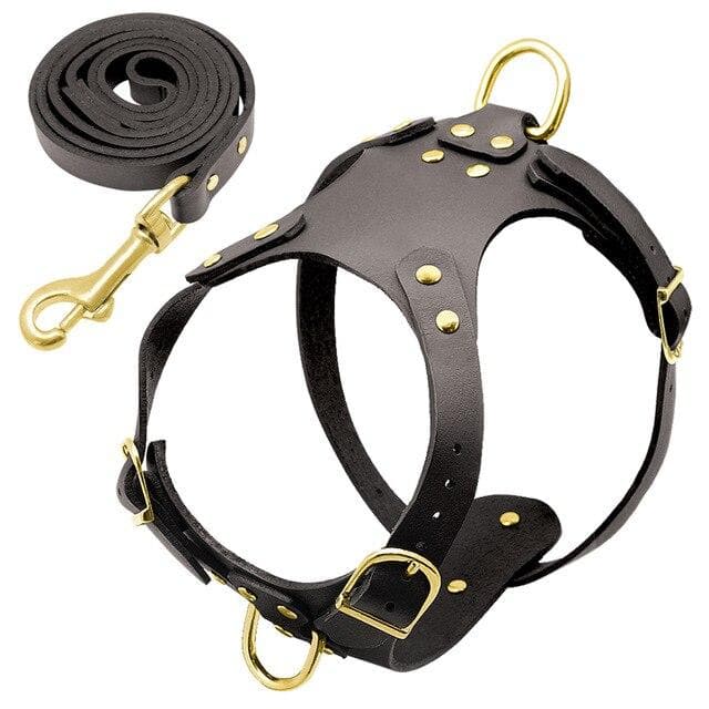 Fancy Leather Harness and Leash Set - Chihuahua We Love