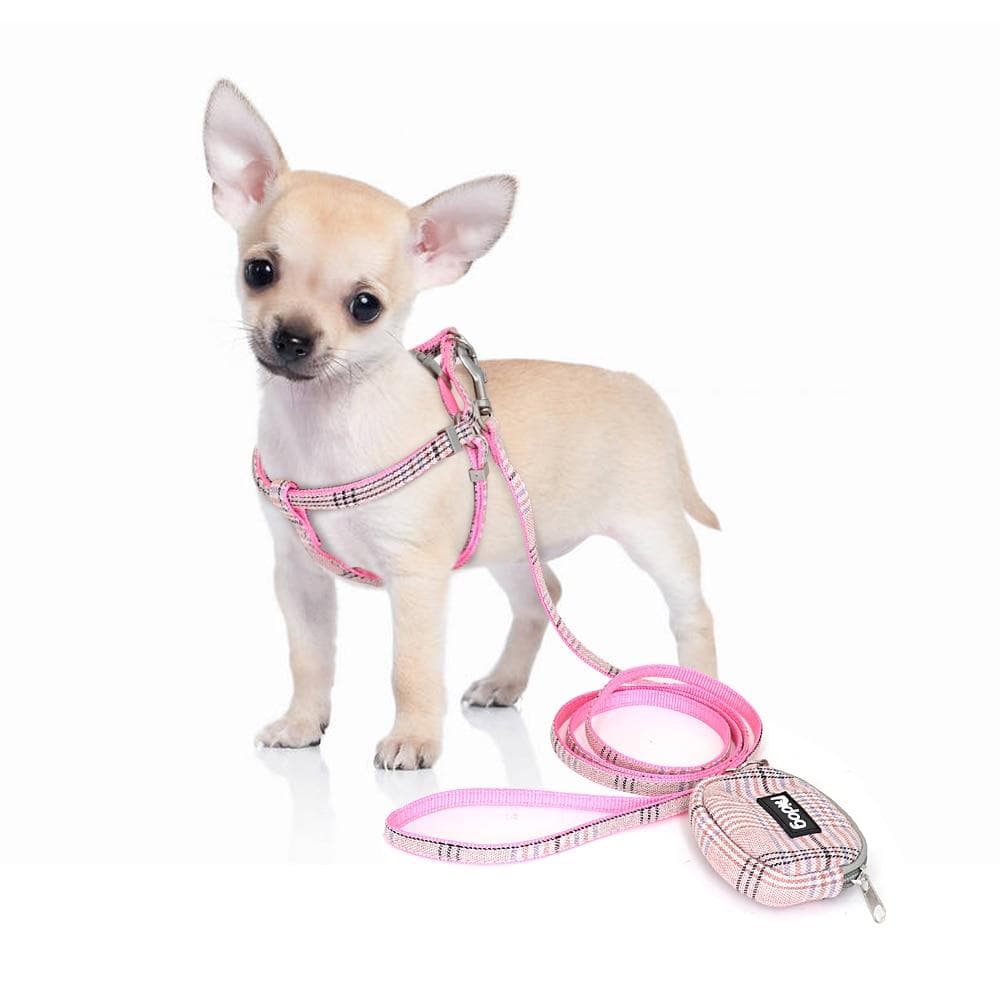 Adjustable Harness and Leash - Chihuahua We Love