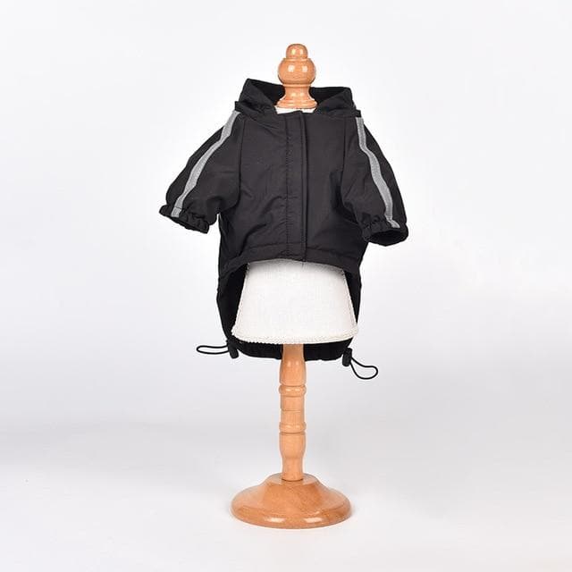 "THE DOG FACE" Chihuahua Waterptoof Jacket - Chihuahua We Love