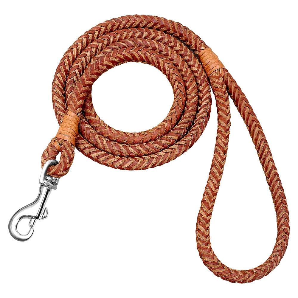 Rolled Leather Leash 4ft Long - Chihuahua We Love