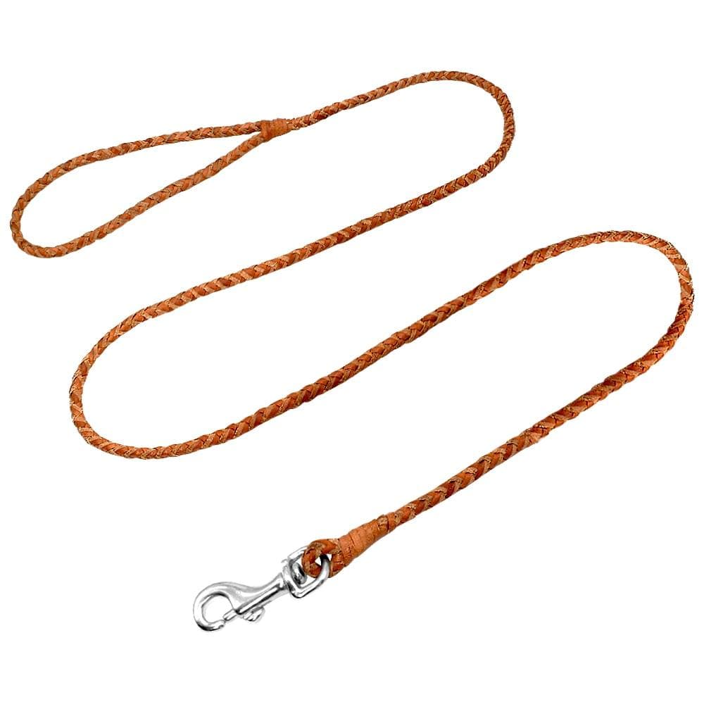 Rolled Leather Leash 4ft Long - Chihuahua We Love