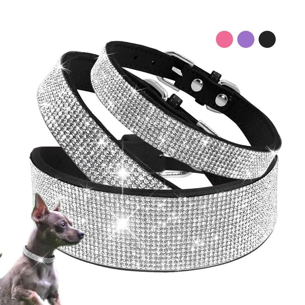 Unique Rhinestone Collar / Leash for Chihuahuas - Chihuahua We Love