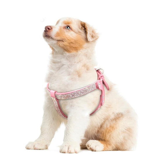 Rhinestone Adjustable Harness - Chihuahua We Love
