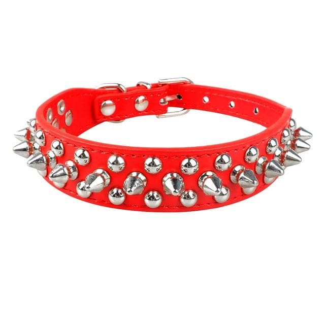 Spiked Leather Chihuahua Collar - Chihuahua We Love