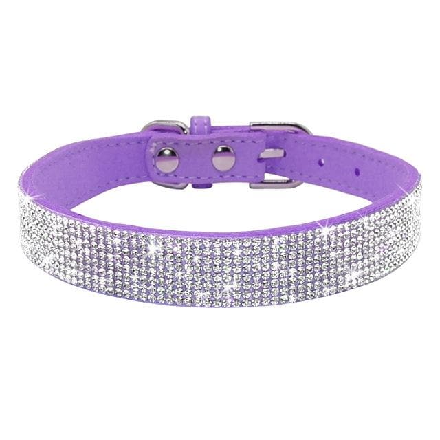 Unique Rhinestone Collar / Leash for Chihuahuas - Chihuahua We Love