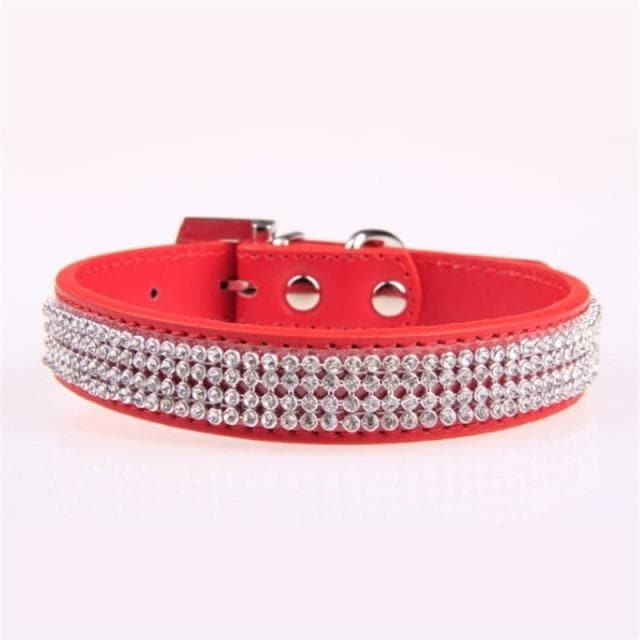 Rhinestone Collar - Chihuahua We Love