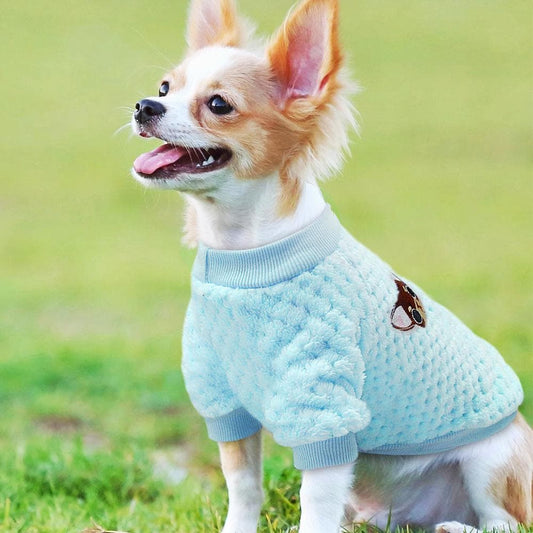 Chihuahua Winter Sweater - Chihuahua We Love