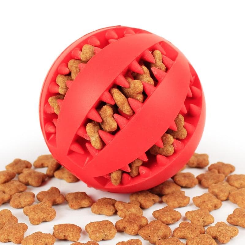 Chihuahua Bite Resistant Chew Toy - Chihuahua We Love
