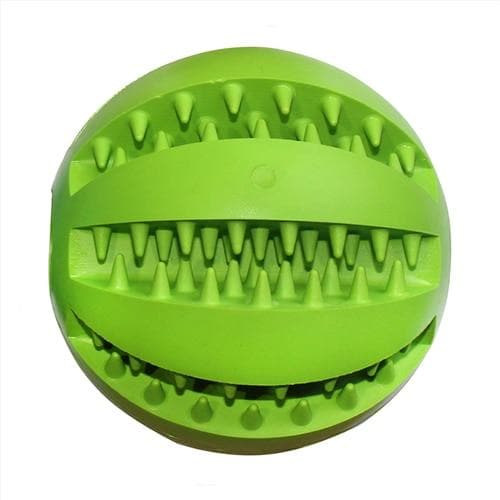 Chihuahua Bite Resistant Chew Toy - Chihuahua We Love