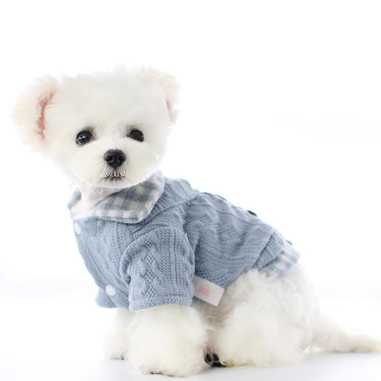 Warm Teddy Dog Coat - Chihuahua We Love
