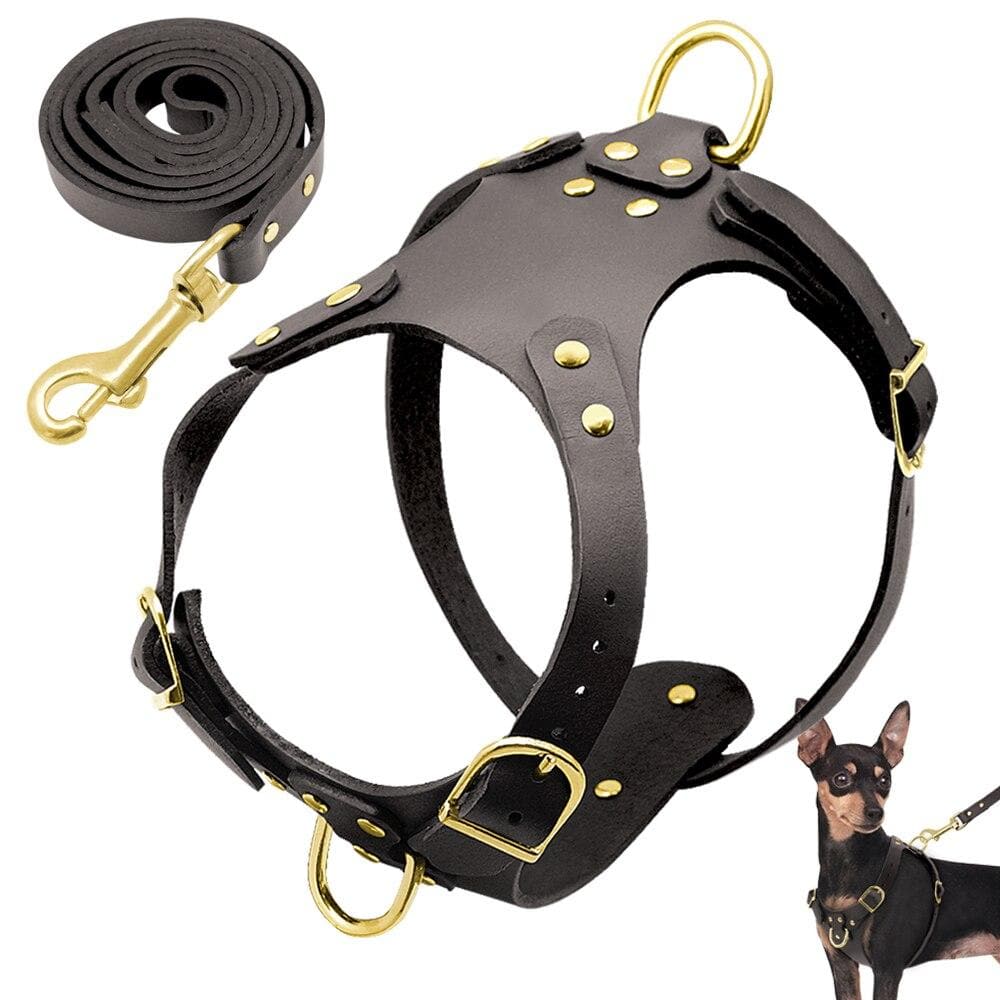 Fancy Leather Harness and Leash Set - Chihuahua We Love