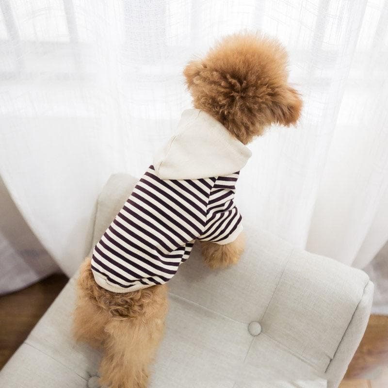 Cotton Striped Chihuahua Hoodie - Chihuahua We Love