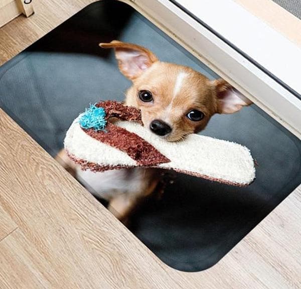 Chihuahua Doormat - Chihuahua We Love